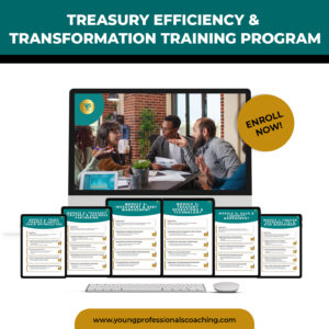 Become a Treasury Efficiency & Transformation Expert