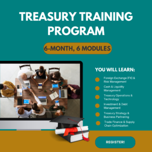 Become a Treasury Efficiency & Transformation Expert