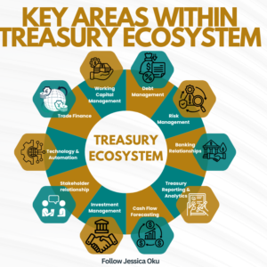 Key Areas Within Treasury Ecosystem