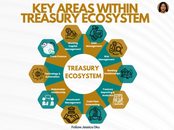 Key Areas Within Treasury Ecosystem